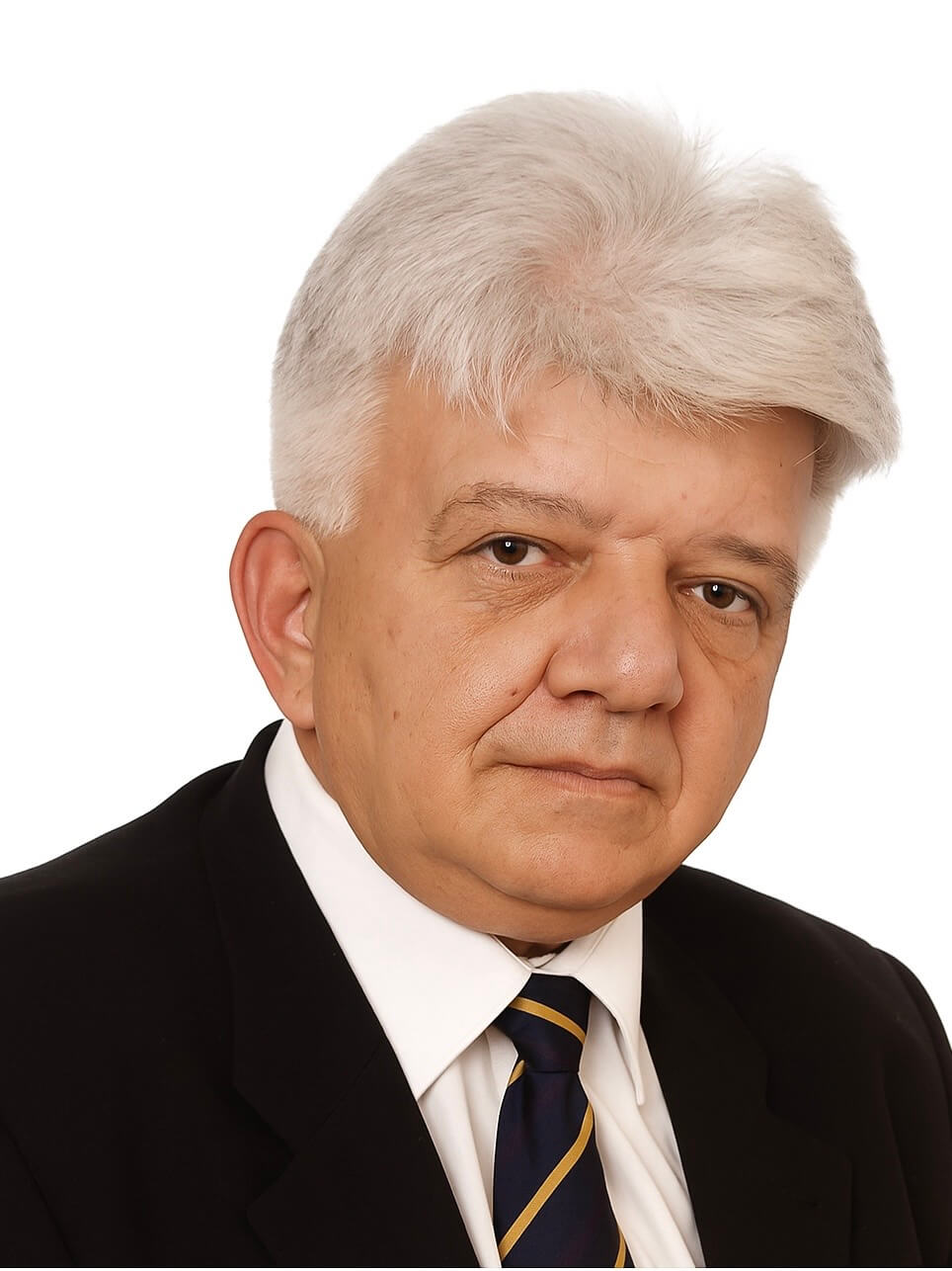 Младомир Сретеновић